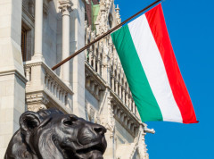 Oko 62 odsto Mađara ima negativan stav o agencijama finansiranim iz inostranstva