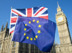 Britaniji treba manjak radne snage, a ne sporazum o mobilnosti mladih sa EU