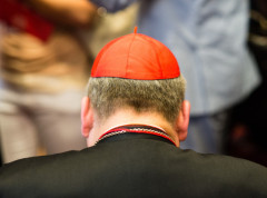 Kardinal Mateo Cupi kaže da se nikada nije nadao da će postati papa
