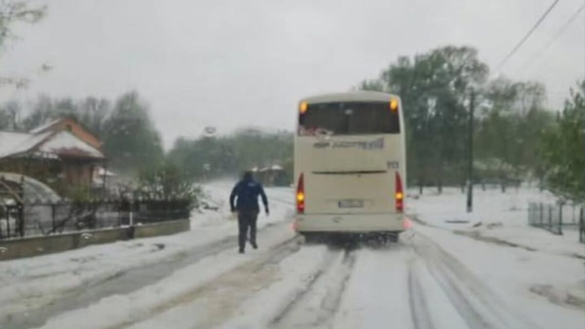 Olude i posledice u Smederevskoj Palanci