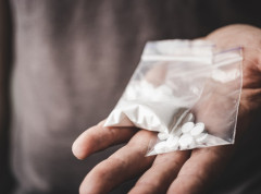 3,5 tona droge čeka da bude uništeno