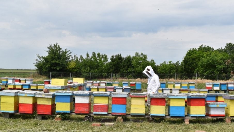 Ukupan iznos od više od milijardu dinara