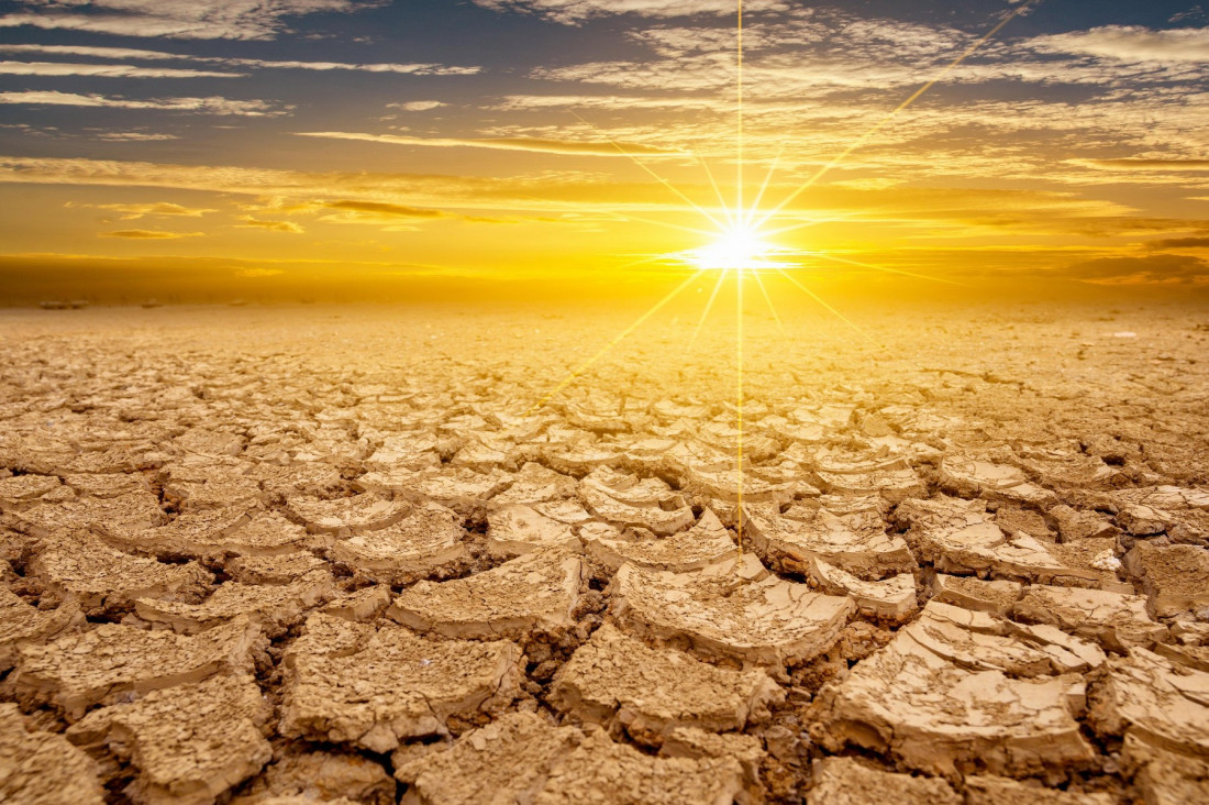 Ekstremne temperature doprinose suši u Srbiji