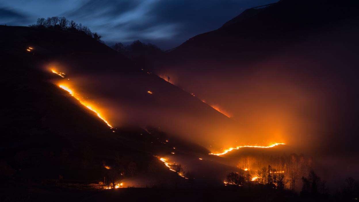 Buknuo ogroman požar u Raškoj: Poznato šta je gorelo kraj Ibra (FOTO)