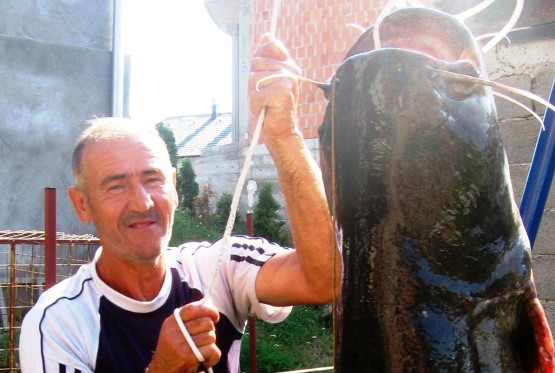 Kako je Asim Duraković ulovio soma dužeg od sebe (FOTO)