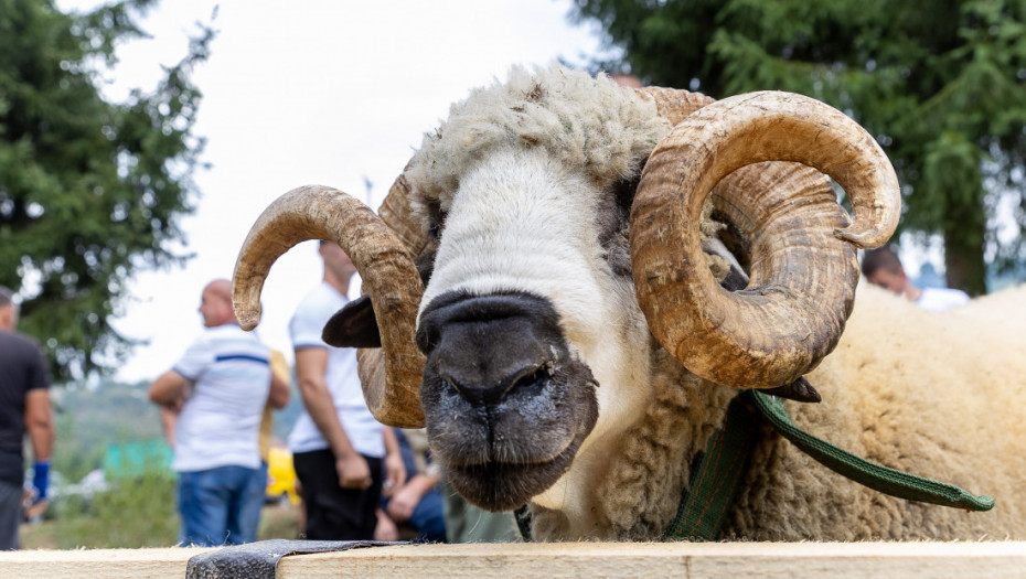 Festival jagnjećeg pečenja u Pričeviću