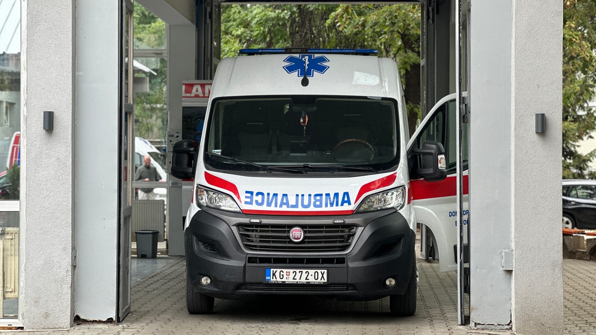 Pas ujeo devojčicu u školskom dvorištu u Boljevcima