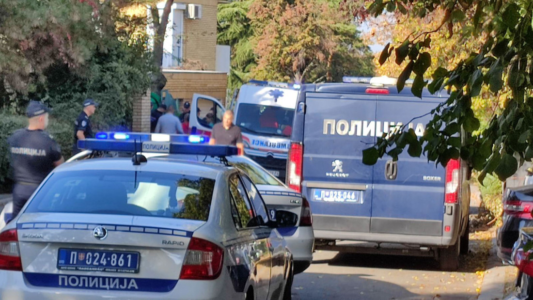 Detalji krvoprolića u Zemunu