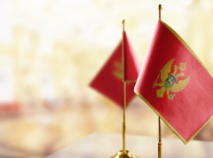 Monstat sprovodi šesto istraživanje o položaju dece i žena u Crnoj Gori