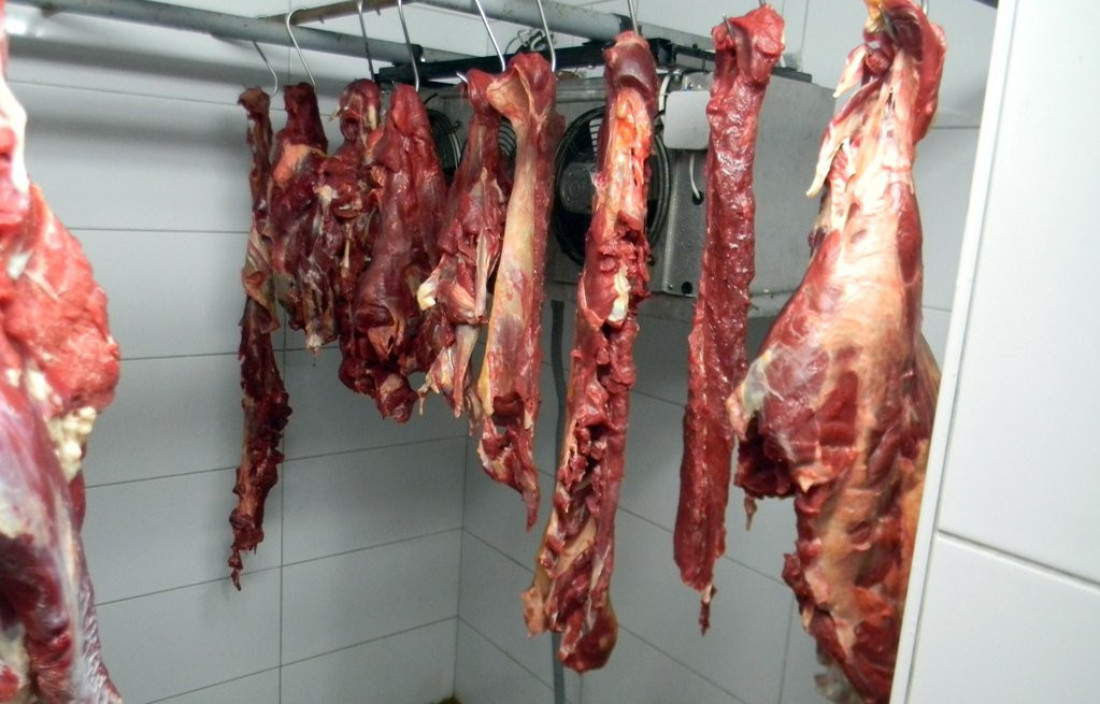 Nelegalna klanica kod Odžaka, uhapšen muškarac