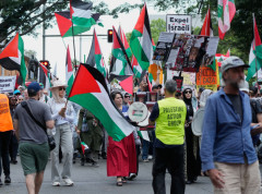 Više desetina hiljada ljudi na propalestinskim protestima u Sidneju