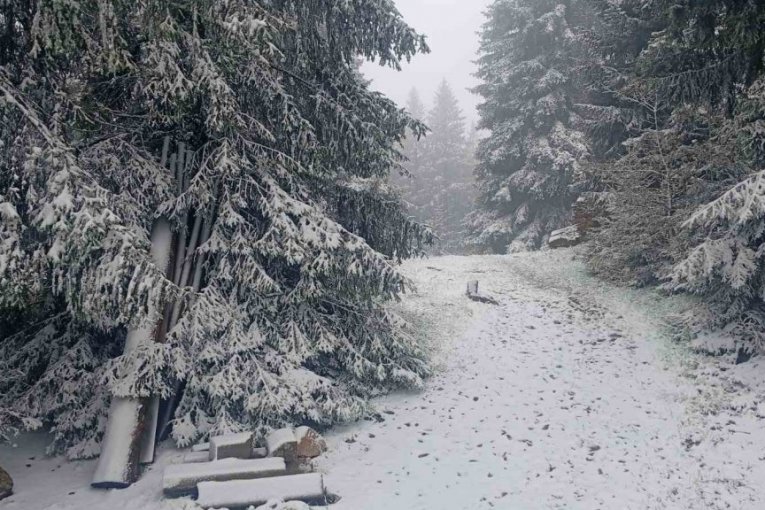 Sekirama se probijali kroz sneg da spasu baku u zavejanom selu! (FOTO/VIDEO)