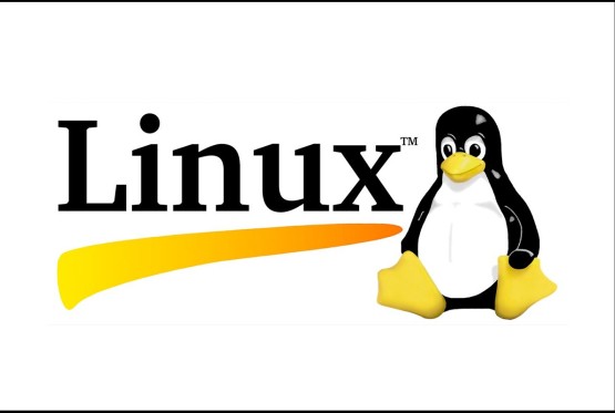 Lijepe vijesti za korisnike Linuxa