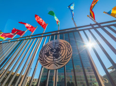 Proizvodnja opijuma u ​​Avganistanu naglo opala nakon zabrane talibana