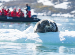 Talas hladnoće sa Arktika mogao bi da obori temperaturne rekorde s kraja 19. veka