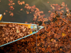 U Srbiji danas mestimično sa kišom, posle podne prestanak padavina