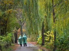 U Srbiji danas osetno hladnije, temperature do 12 stepeni