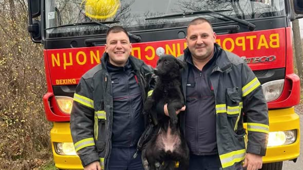 Slika koja obilazi Srbiju: Vatrogasci poziraju sa psom kog su izvukli iz bunara na bezbedno