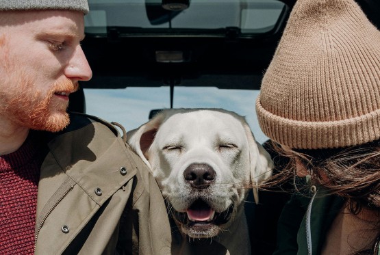 Ovako psi pokazuje da vas vole