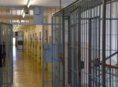 Bivšem crnogorskom ministru poljoprivrede Milutinu Simoviću ukinut pritvor