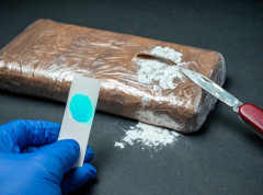 Kineske službe u saradnji sa američkom DEA zaplenile 430 kilograma kokaina