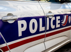 Policija oduzela 19 prepariranih životinja iz redova zaštićenih vrsta