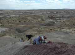 Dinosaurusi su bili rasprostranjeni pre udara asteroida u Zemlju