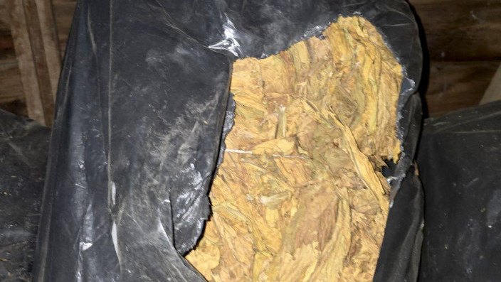 Hapšenje u Hrtkovcima: Oduzeto 1.360 kg duvana