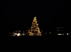 Katolički biskupi pozvali Trampa da ne sprovodi imigracione mere tokom Božića