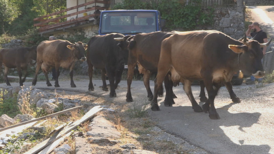 Izmenjen pravilnik o podsticajima za poljoprivredu