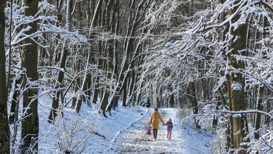 Vreme u Srbiji, sneg početkom januara