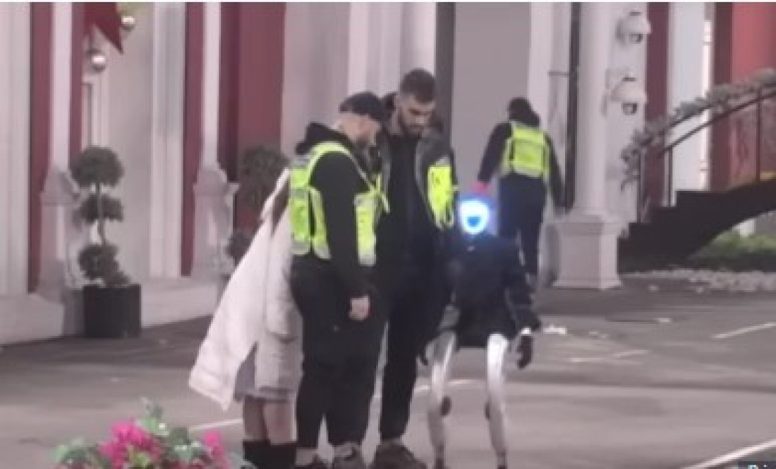 Miljana Kulić napala robota Tošu, obezbeđenje ih razdvajalo!