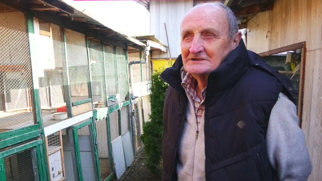 Trnava pernato carstvo