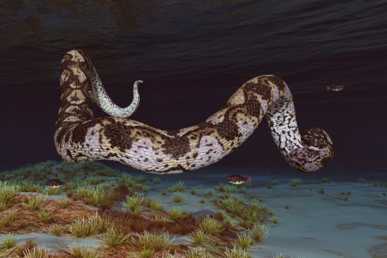 ŠOKANTNO OTKRIĆE! Pronađena zmija teža od „Juga“ i dugačka kao gradski autobus (FOTO, VIDEO)