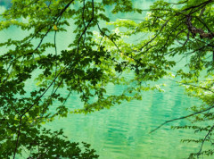 Vodostaji u padu, jedino raste nivo Skadarskog jezera