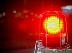 U požaru izgorelo više hiljada pilića starih samo dan