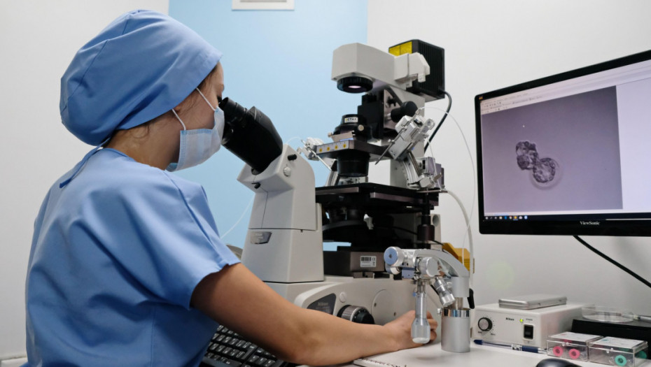 Podmlađivanje jajnih ćelija nada u uspeh vantelesne oplodnje