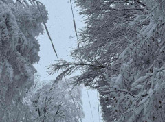 Vanredna situacija na delu teritorije opštine Lučani, 4.000 domaćinstava bez struje