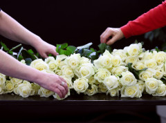 Adamuz odao počast žrtvama železničke nesreće u kojoj je poginulo 45 ljudi