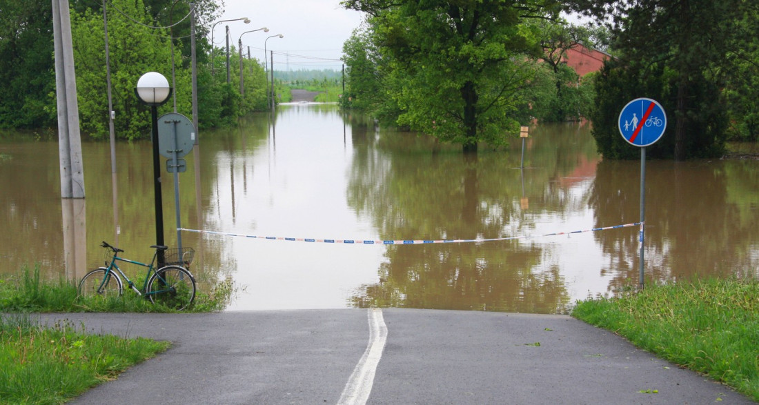 Izlio se Timok u Boru