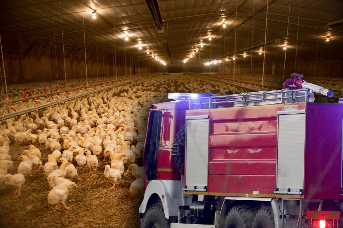 Požar na farmi, gubitak ogroman