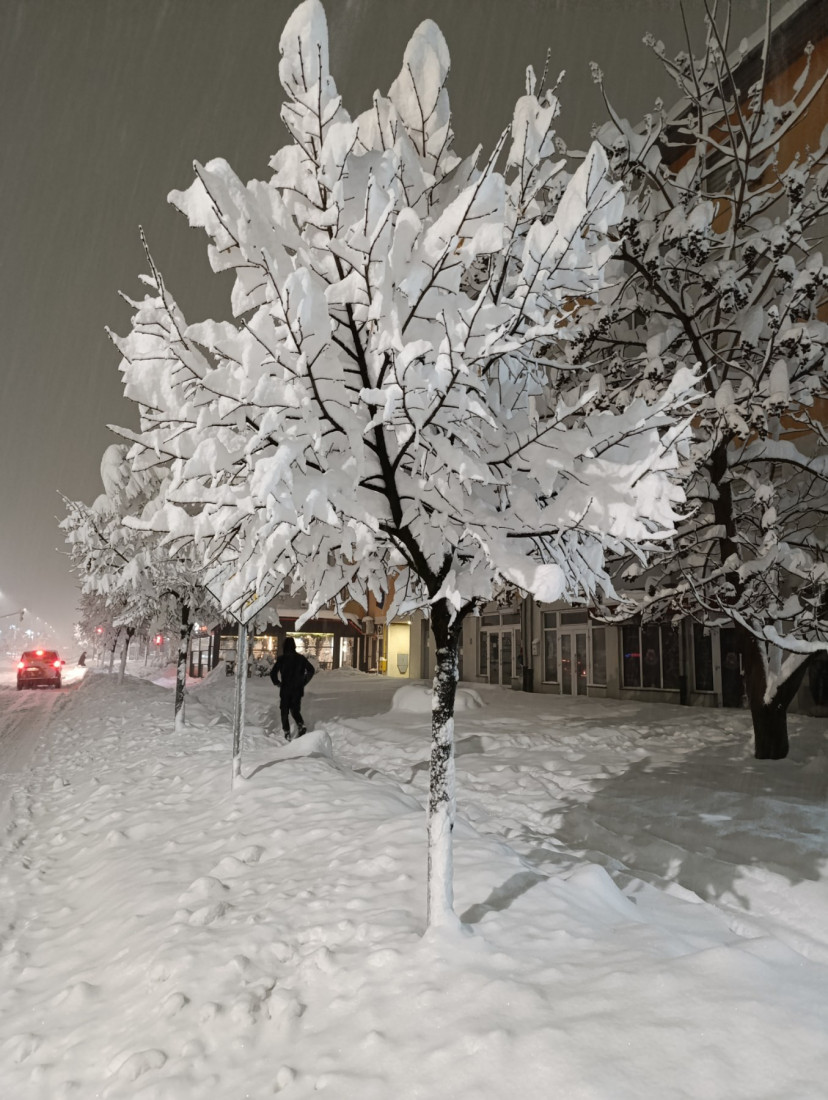 Stablo ubilo ženu u Sarajevu