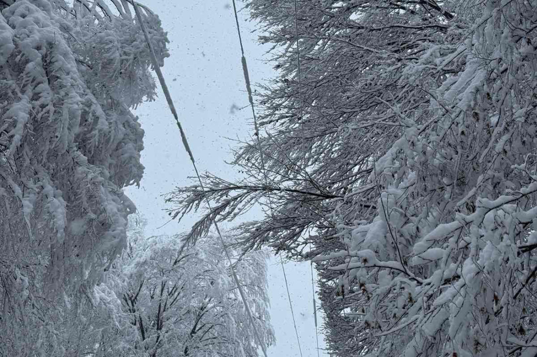 Oglasio se EDS: Struja uskoro stiže u Ivanjicu, ali i ovaj kraj Srbije!