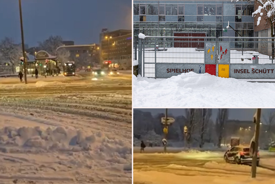 Nirnberg paralisan snegom