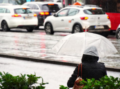 Putevi u Srbiji prohodni, kolovozi vlažni i na njima ima snega do pet centimetara