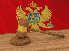 Vesna Bratić odbila da da telefon nan pretres; Produžen joj kućni pritvor