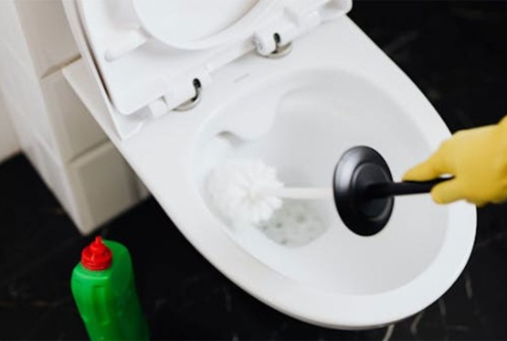 Blistavo čista WC šolja bez ribanja: Limuntus kao prirodni trik