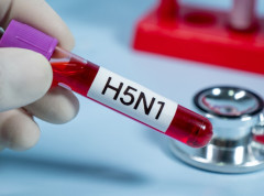 Potvrđeni novi slučajevi ptičjeg gripa u Pisarovini