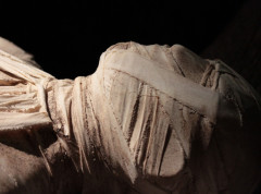 Naučnici analizirali miris egipatskih mumija, otkriveni sastojci balzamovanja