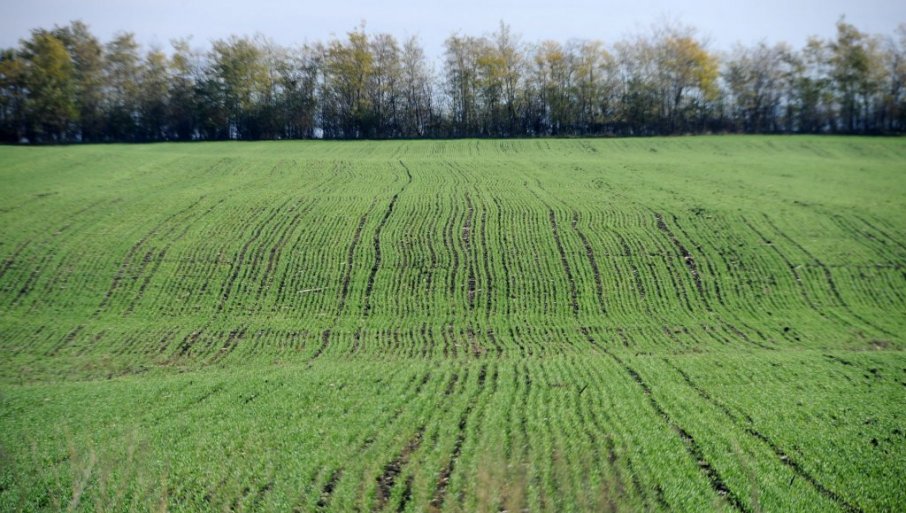 Stručnjak rekao da nema razloga za brigu i dao preporuku proizvođačima